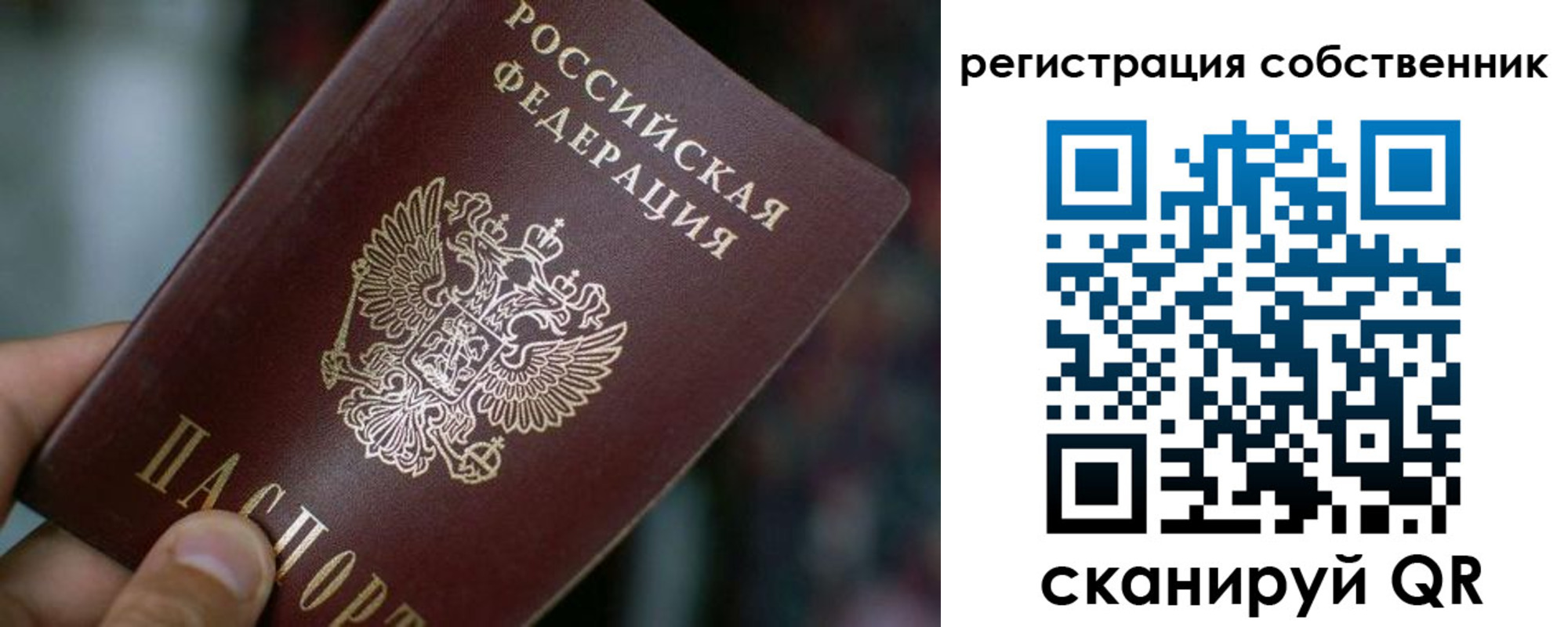 пропишу в квартире в Белой Калитве
